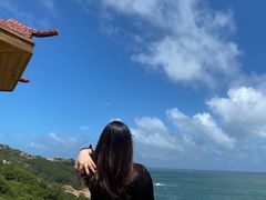 -广东惠东海龟国家级自然保护区
