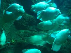 -万平口海滨旅游区-海战馆