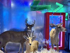 -凯德广场(武胜路店)