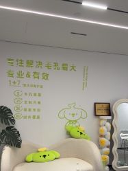 -凡碧诗毛孔清洁收细