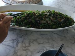 鲜椒过水鱼-茉莉花空中花园餐厅(义乌店)