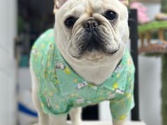 -爱侣宠医·鹦鹉专科·小型哺乳类·异宠专科(灵石路店)