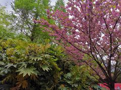 -贵阳市花溪国家城市湿地公园