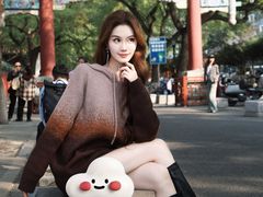 -北京国子监胡同
