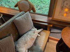 -咖法森林·咖啡  酒吧(天河店)