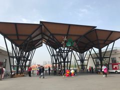 -上海长兴岛郊野公园