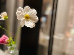-Osteria Garden 生蚝花园餐厅(原进贤路店)