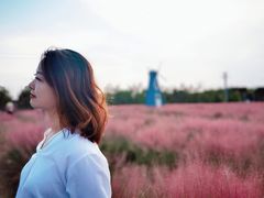 -鹅湖玫瑰文化园