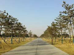 -汉长安城未央宫国家考古遗址公园