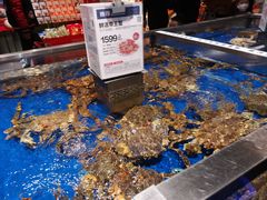 -盒马鲜生(顺义店)