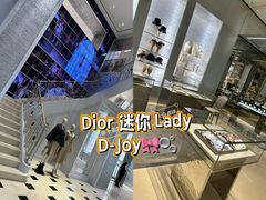 -Dior迪奥(国贸商城店)