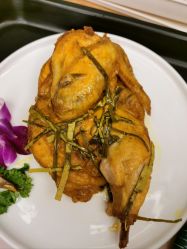 -金芙美月子中心(财富别墅店)