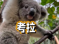 -上海野生动物园