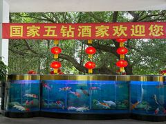 -鹿鸣酒家(越秀店)