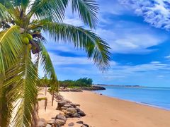 -馨越楼·点心·粤菜(赤坎店)