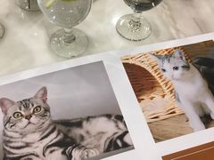 -袖虎·猫馆(体育西路店)