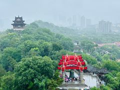 -黄鹤楼公园(黄鹤楼)