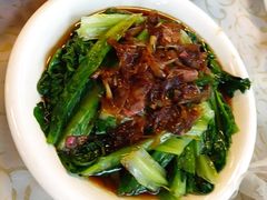 -百利鸽王(紫薇路店)