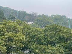 -宁波市保国寺古建筑博物馆