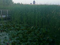 -永定河休闲森林公园