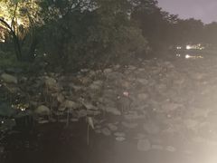 -荔湾湖公园