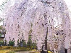 -大龙山(地铁站)