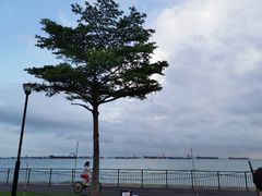 -珍宝海鲜(东海岸海鲜中心)