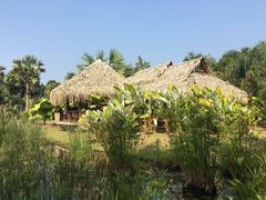 -中国科学院西双版纳热带植物园