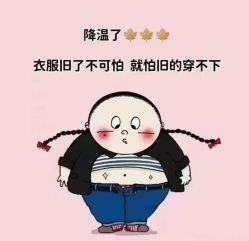 -Fundi张玉珊修身堂·indiba·BTL科技瘦身