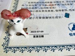 -恒幸动物医院·急重症转诊中心·神经内外科·CT核磁
