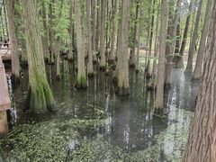 -东湖落雁景区