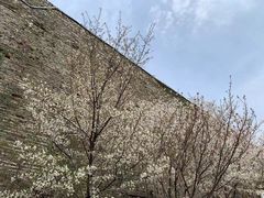 -小厨娘淮扬菜(六合欢乐港店)