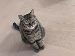 -和它·交个朋友·狗咖猫咖(爱琴海店)