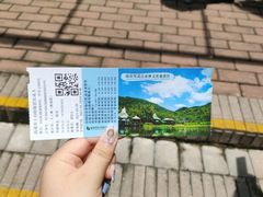 -呀诺达热带雨林