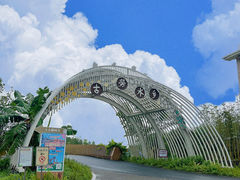 -江门古劳水乡旅游区