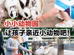 -前小桔亲子创意农场·草莓采摘·露营烧烤