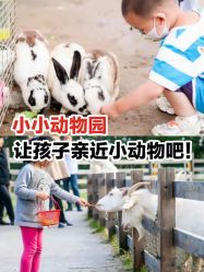 -前小桔亲子创意农场·草莓采摘·露营烧烤