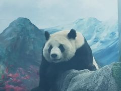 -武汉动物园