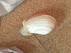 -南沙十九涌渔人码头-南门