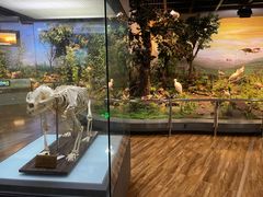 -陕西自然博物馆