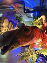 -恐龙探索乐园(磁器口店)