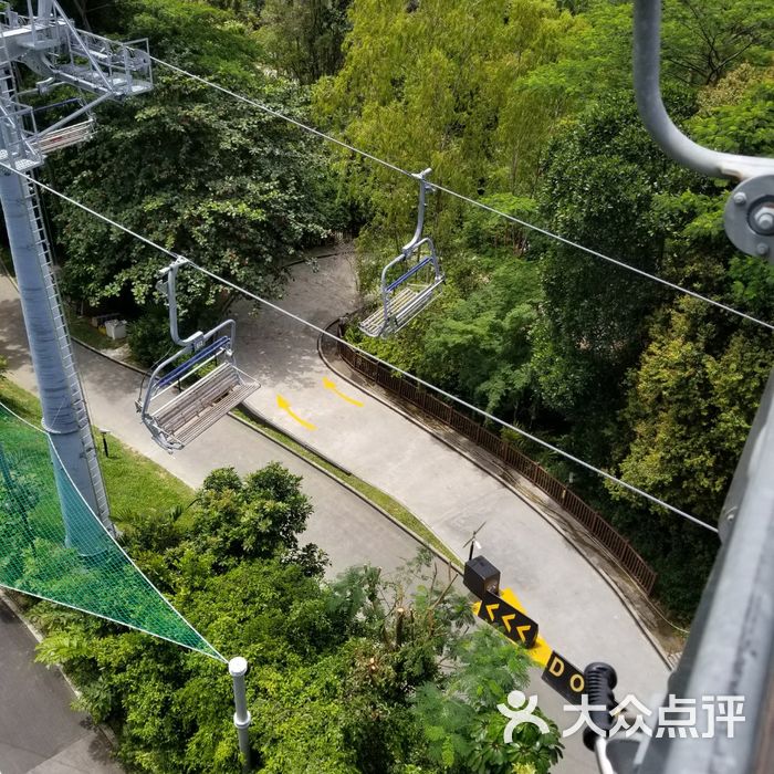 圣淘沙天际线斜坡滑车图片-北京游乐场-大众点评网