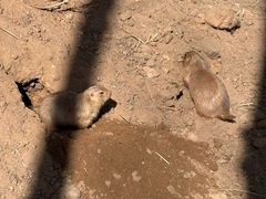 -鄂尔多斯野生动物园