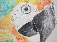 -甲乙果 美术书法(通州校区)