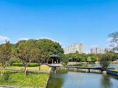 -蠡湖大桥公园