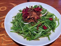 -菌自由丨野生菌火锅特色庭院餐厅(丽江古城店)