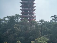-缙云山景区