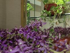 -陶然居·重庆菜(鱼洞老街店)