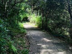 -宁波市保国寺古建筑博物馆