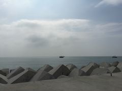 -日照海滨国家森林公园